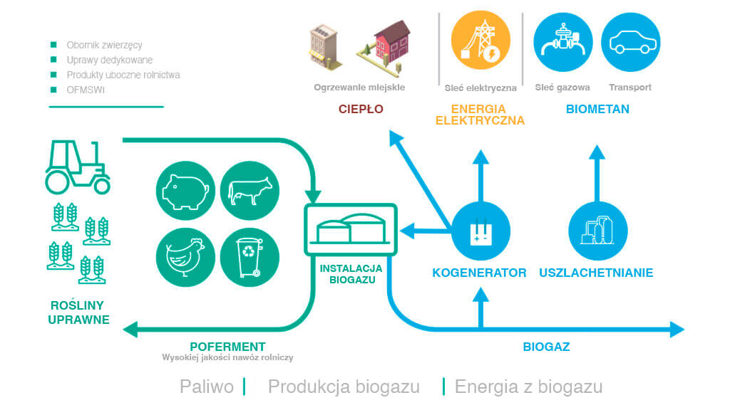 Expertise_Biometano_Map