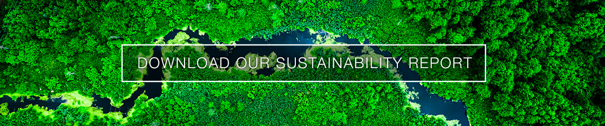 SUSTAINABILITY REPORT Pietro Fiorentini